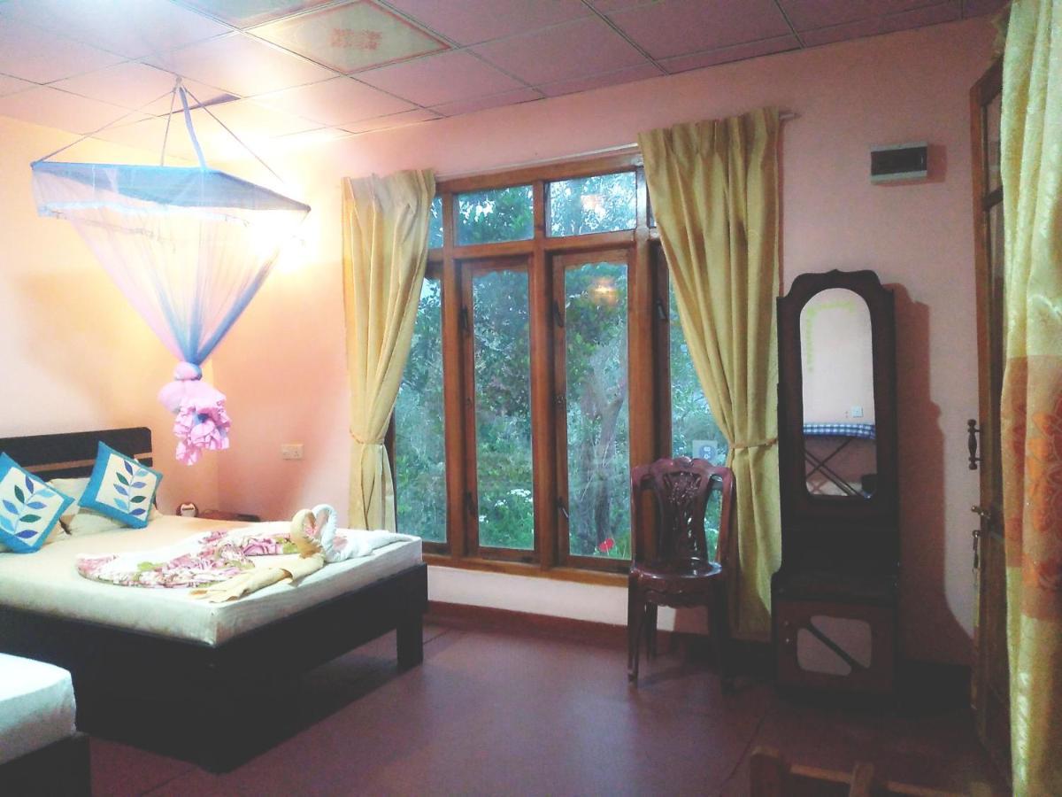 Ella Summer Lesser Luaran gambar